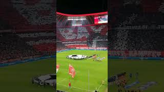 Allianz Arena München [upl. by Nodle844]