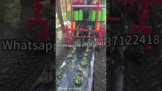 HYZP2 Two Row Pineapple Seeder Pineapple Transplanter for Pineapple Farm at Costa Rica [upl. by Ainala]