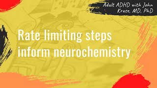 Rate Limiting Steps Inform Neurochemistry  ADHD  Episode [upl. by Salisbury314]