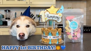 HAPPY 1ST BIRTHDAY HUMPHREY😭🎃💙 [upl. by Ydurt]