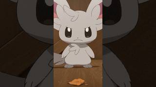 Poor Minccino 😔 pokemon POKETOON [upl. by Cyrillus659]