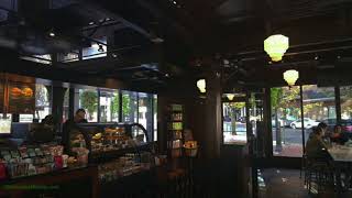 Starbucks Background Noise  ASMR  Cafe  Relaxing  Ambient Sounds [upl. by Aizatsana]