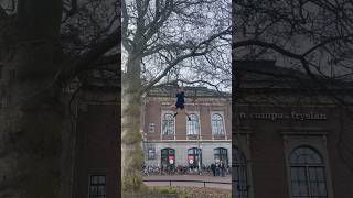 Hoe hoog denk je dat dit was🌳🐒 shorts climbing short viral youtube [upl. by Pier]