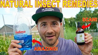 This Organic Pest Control Remedy Is A SCAM 3 Natural Insecticides That WORK And One That DOESNT [upl. by Stormy]