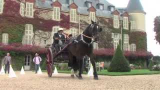 Concours international dattelage de tradition [upl. by Eadrahs271]