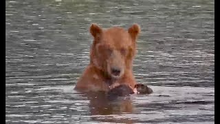 19 Jul 2024 27 or 88 diving on the lower river exploreorg [upl. by Sirhc]