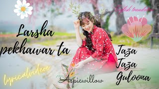 Larsha Pekhawar ta taza taza guloona pashto song wtih english translation [upl. by Demakis284]