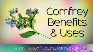 Comfrey Benefits and Uses [upl. by Haerdna]