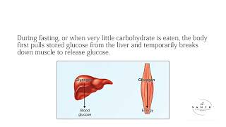 How Ketogenic Diet Works  Sante Dietitians [upl. by Eveivaneg299]