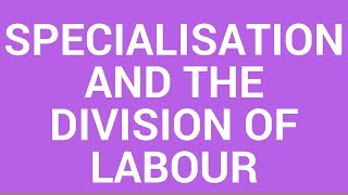 Specialisation and the Division of Labor [upl. by Melamed]