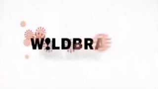 WildBrain logo 2007 [upl. by Rairb679]