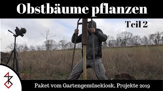 Obstbäume Pflanzen Teil 2  Pflanzschnitt  Pflanzen  Wildschutz [upl. by Josselyn]