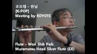 KPOP 코요태  만남 Meeting by KOYOTE  Flute by Won Shik Paik [upl. by Orfinger104]