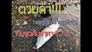 KFISH ตามล่ากระสูบแม่น้ำแควใหญ่ กับชุดคันไม่เกิน 2000 บาท l KFISH [upl. by Hsemin370]