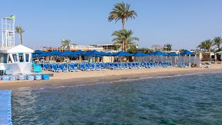 Waves Naama Bay Hotel Sharm El Sheikh Egypt [upl. by Nee408]