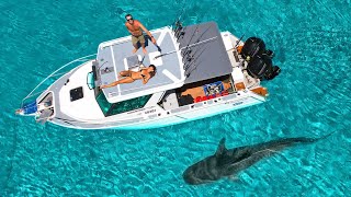 DAY 77 AT SEA Huge Tiger Shark at Remote Island [upl. by Annauqal98]