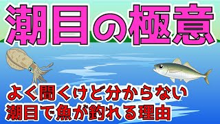 【潮目】潮目はなぜ魚が釣れるのか？その秘密を徹底解剖 [upl. by Sibel578]