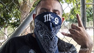 5 Biggest Mexican Gangs In Los Angeles [upl. by Demahum581]