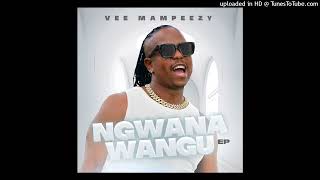 2 VEE MAMPEEZY x DJ NGWAZI x DJ MAPUTO  MMAMPUDI Official Audio [upl. by Bobseine]