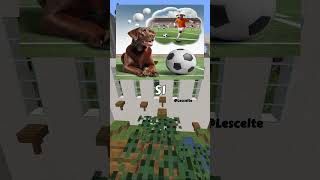 Un cagnolino sognatore 🐶⚽perte ai minecraft cane [upl. by Gilberto]