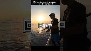 【ジギング】初めての奄美釣行！回収中にヒットした魚はカツオ？遊漁船nofishingnolife ルアー船 奄美大島釣り ジギング カンパチ shorts [upl. by Akinwahs]