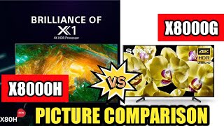 Sony X8000H vs X8000G  Picture Comparison [upl. by Haymo]