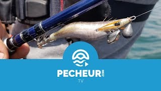 L’eging ou comment pêcher les céphalopodes à la turlutte  Tutoriel Pecheurcom [upl. by Prosperus]