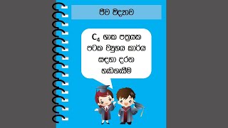 Biology  Short note book [upl. by Fan]