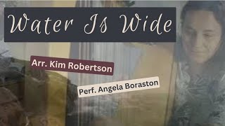 Water is Wide  Celtic Harp Music arr Kim Robertson [upl. by Annecorinne]