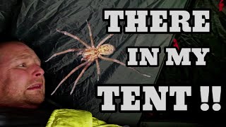 UNINTENTIONALLY tent camped on a spiders NEST [upl. by Nerdna607]