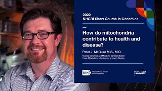 How do mitochondria contribute to health and disease  Peter McGuire [upl. by Refannej]