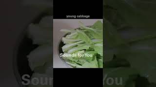 How to cook Fantastic Flavor Chueotang  추어탕 Mudfish Soup Loach Soup ASMR shorts [upl. by Aleksandr]