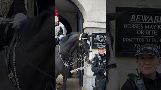 Horse Knows Armed Officer Has a Mint Epic Moments HorseGuards 💂 🐴 [upl. by Tiebout]