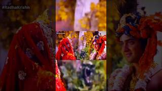 Radha Krishna Status radhakrishna song wedding sweetheart viralvideo subscribe views [upl. by Stovall788]