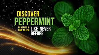 PEPPERMINT OIL BENEFITS  the Essential facts [upl. by Godart]