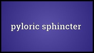 Pyloric sphincter Meaning [upl. by Icam]