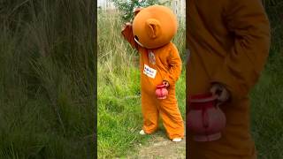 Mr Teddy bear fanny video comedy funnyteddy stuffedanimal funny funteddy teddybear toocute [upl. by Batish]