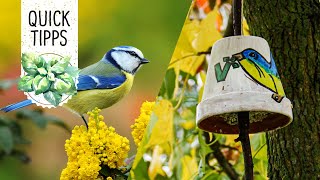 DIYIdee Futterspender Vogelfutter im Blumentopf selber machen  Volmary QuickTipps [upl. by Tilney54]