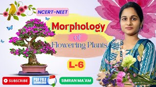 Morphology of Flowering Plants L 6  Fruits amp Seeds  NCERT Class 11NEET 2025  Simran Maam [upl. by Asli]