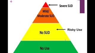 Substance Use Disorders Among Adolescents and Young Adults [upl. by Acenom]