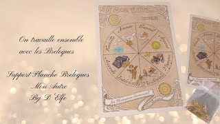 Tirage avec la planche Divinatoire des Breloques  Cartes  Pendule [upl. by Aggappora343]