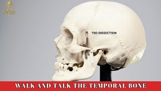 Temporal Bone Dissection at Royal Pearl Hospital [upl. by Formenti]