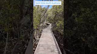 Mangrove trail Saint Kilda South Australia Must visit Follow sigorvision [upl. by Yeleak854]