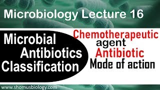 Chemotherapeutic agents microbiology [upl. by Laryssa]