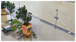 Dramatisches Hochwasser in Österreich Wassermassen fluten Wien 1592024 Vienna Austria flood [upl. by Arch]