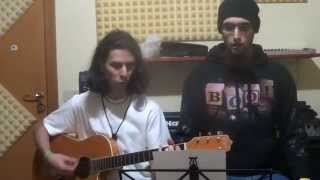 Heidevolk  Vulgaris Magistralis Acoustic Cover [upl. by Coryden]