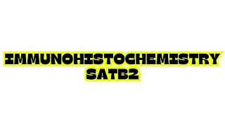 IMMUNOHISTOCHEMISTRY SATB2 [upl. by Leeda382]