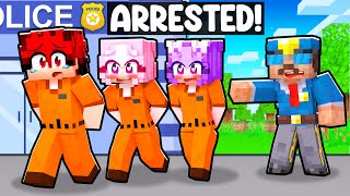 POLICE CHASE in MINECRAFT with MY CRAZY FANGIRLS [upl. by Akiehsal]