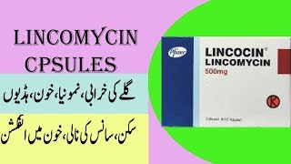 Lincomycin capsule lincomycin capsule uses [upl. by Akirderf]