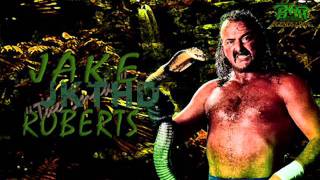 Jake The Snake Roberts 1st WWF Theme Arena Effects [upl. by Vine]